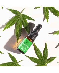 CBD Calming Oil