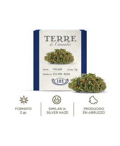 Aromatische CBD-Blume: VOLARE / SILVER HAZE