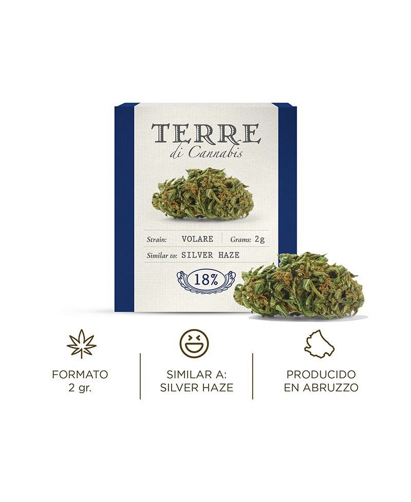 Fleur aromatique de CBD : VOLARE / SILVER HAZE