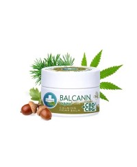 BALCANN Baume Biologique + Écorce de chêne – CBD + CBG